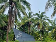 -清水湾旅游度假区