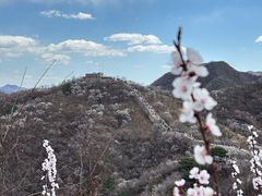-龙泉峪长城