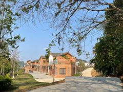 -神光山国家森林公园