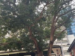 -大馆(前中区警署建築群)