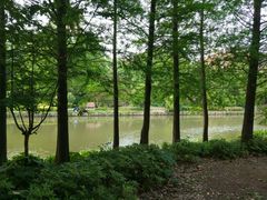 -新江湾城公园