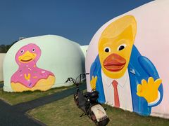 -漳州滨海火山岛自然生态风景区