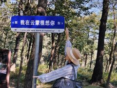 -沂蒙山旅游区云蒙景区(蒙山国家森林公园)