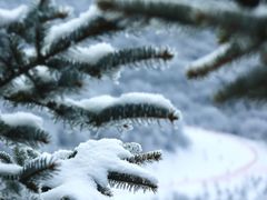 -太子岭滑雪场