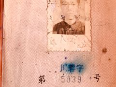 -大湾区中央湿地公园