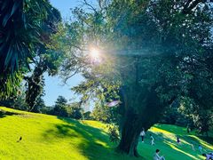 -墨尔本皇家植物园