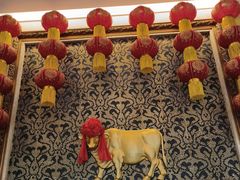 -友谊肥牛