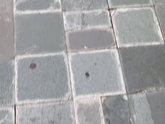 -徽珍源(龙茗路店)