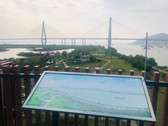 -芒洲湿地公园