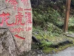 -嘉荫恐龙国家地质公园