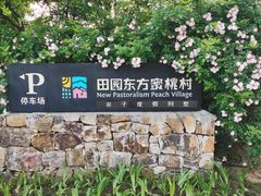 -田园东方蜜桃村的田野营地