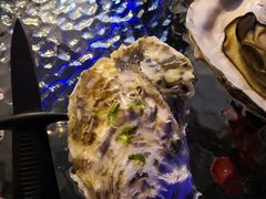 -千岛蚝高压锅生蚝·人参火锅(白云万达店)