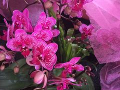 -Summer House夏莫手工坊团建活动(世博源店)