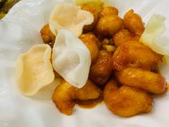-光明渔港(海悦天地店)