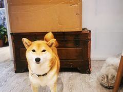 -小时光咖啡馆(北锣鼓巷店)