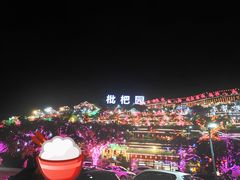 -枇杷园食为鲜火锅(南山店)