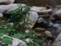 -抱龙峪