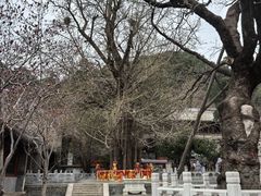 -潭柘寺景区