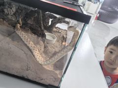 -上海昆虫博物馆