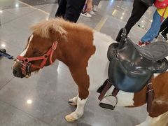 -汇德隆银隆