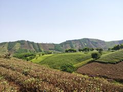 -帐篷客·溪龙茶谷度假酒店