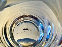 -BLACKSWAN黑天鹅(环球店)