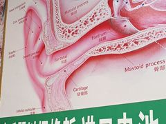 -自然之声助听器·呼吸机(保定清苑店)