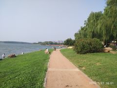 -丁香湖公园