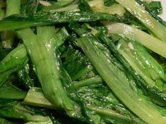 -大榕树下顺德菜(融创茂店)