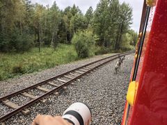 -莫尔道嘎国家森林公园