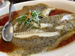 清蒸多宝鱼-香浙汇(望京店)
