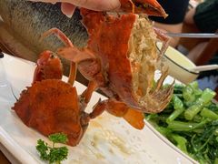-友强·23年特色海鲜大排档(厦门店)