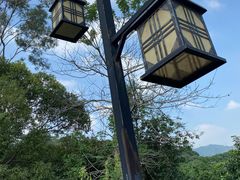 -大屏嶂森林公园