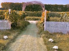 -安德鲁户外烧烤帐篷营地(马泉营店)