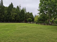 -瀛洲公园
