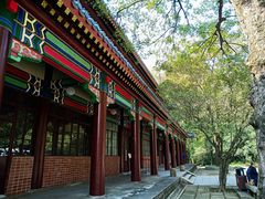 -灵谷景区