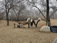 -北京野生动物园