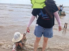-碧海金沙