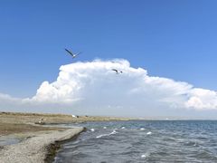 -青海湖国家重点风景名胜区
