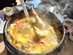 鲜菌元气土鸡汤-林间山庄