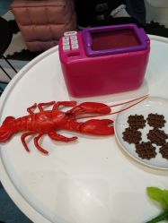 -MINI MARS KIDS CLUB亲子家庭中心(长宁天山店)