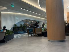 -米兰-马尔彭萨机场