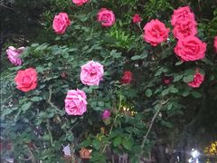 -万达广场(南京江宁店)