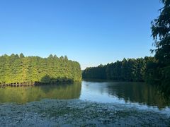 -上海海湾国家森林公园