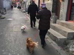 -时光漫步酒店(北京雍和宫南锣鼓巷后海店)