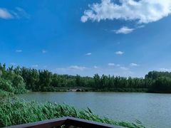 -翠湖国家城市湿地公园