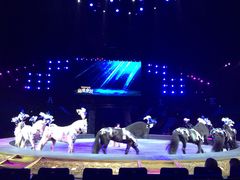 -珠海横琴长隆《卡卡虎奇遇记》