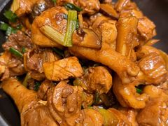现杀果园鸡—黄焖鸡-生态苑农庄(十里画廊遇龙河店)