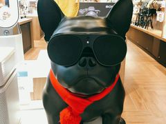 -sundanpulse顺电·脉(海岸城购物中心店)