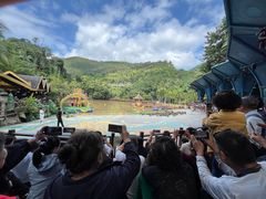 -西双版纳原始森林公园